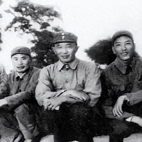 天津塘沽属于哪个镇管