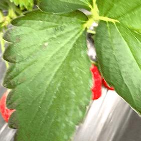 桂林主要景点地图相关长尾关键词有哪些