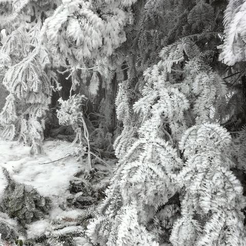 桂林资源冰雪的相关长尾关键词有哪些