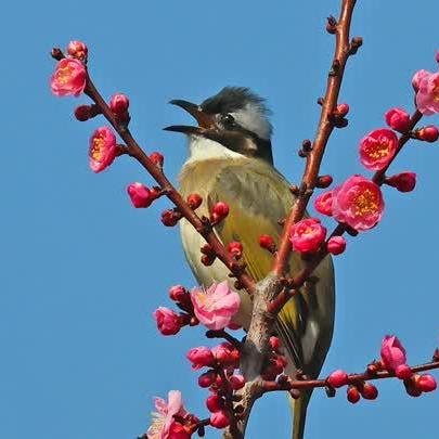春天里人们都做什么事的长尾关键词有哪些