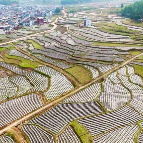 清流在福建哪个市