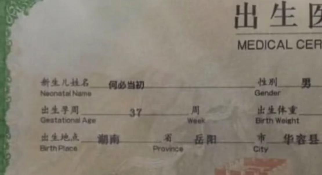 何姓女宝宝起名怎么起(你这样辛苦扛着的原因是什么)