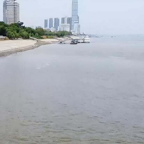 什么地方属于武汉市