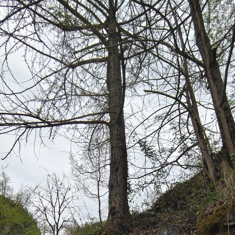 重庆 骑行怎么样