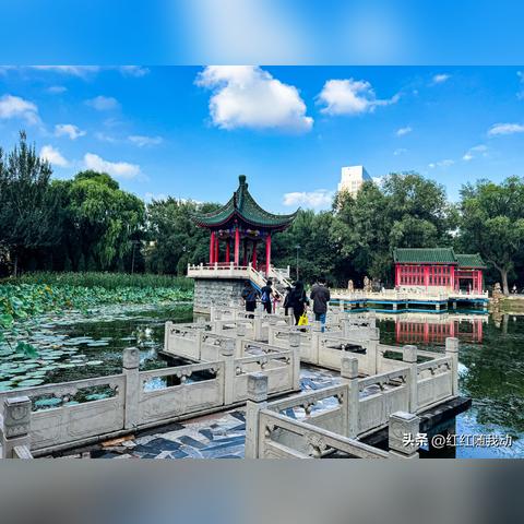 沈阳市百鸟足球场在哪个区