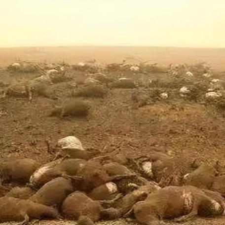 重庆美院怎么样