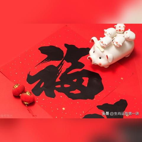 2025年8月生肖猪运势(2025年属猪人的全年运势详解)