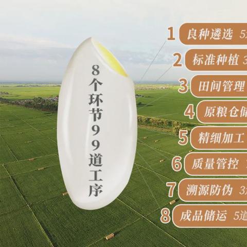 佛山市乔府大院在哪里建