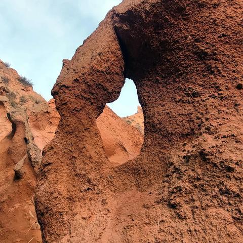 兰州市哪里种植韭黄好些