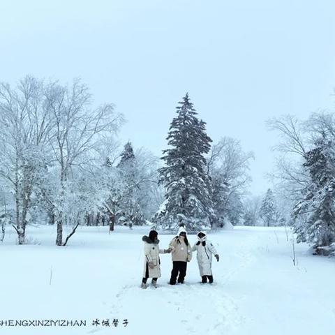 哈尔滨的雪原文相关长尾关键词有哪些