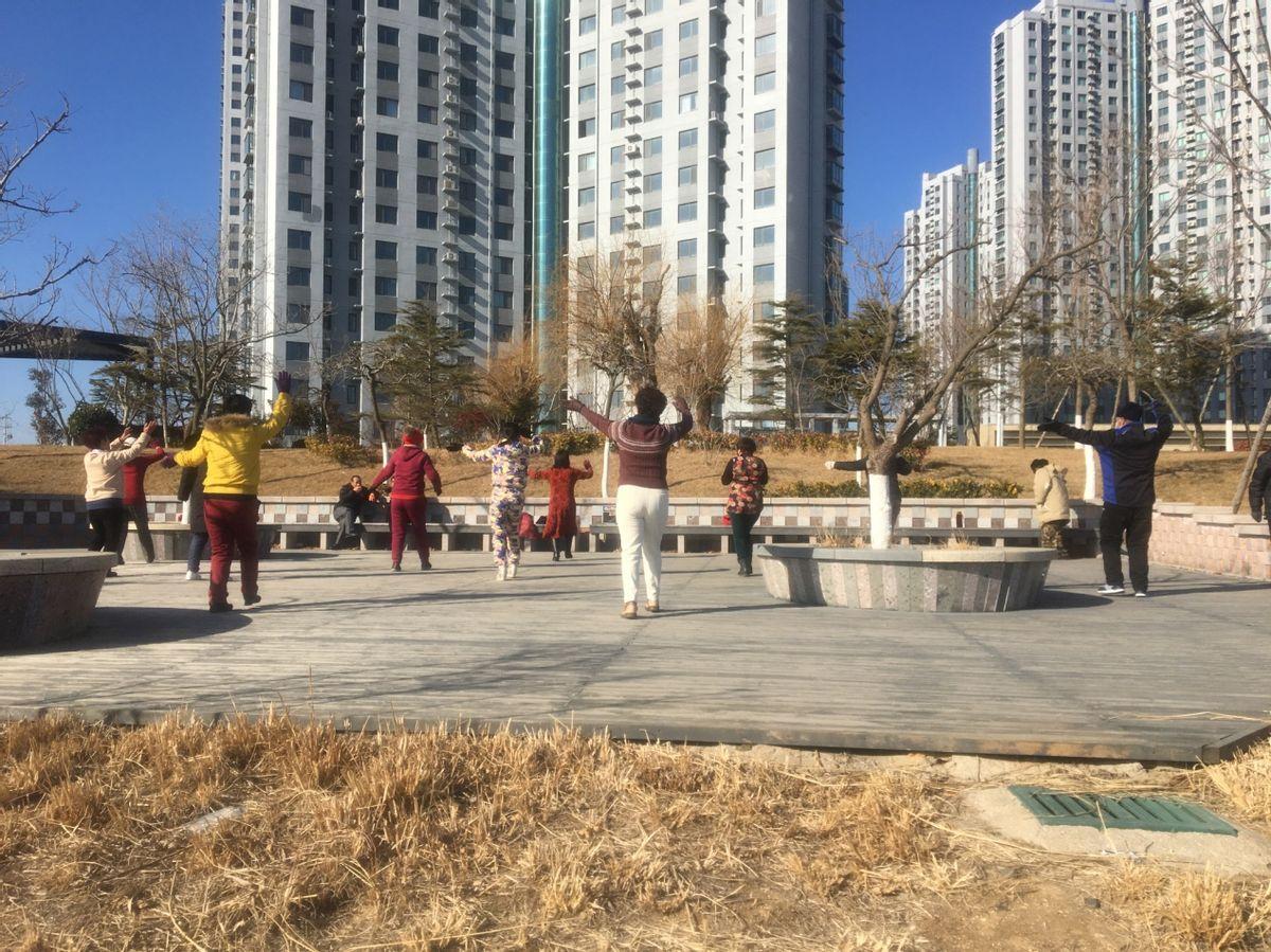 哪些平台适合新手投稿(自媒体人网上投稿平台有哪些)