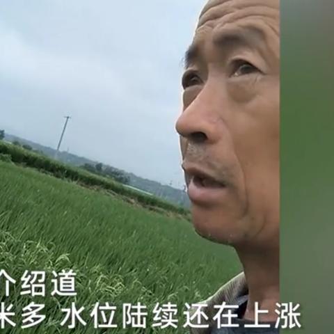 哈尔滨市哪里没有被淹过