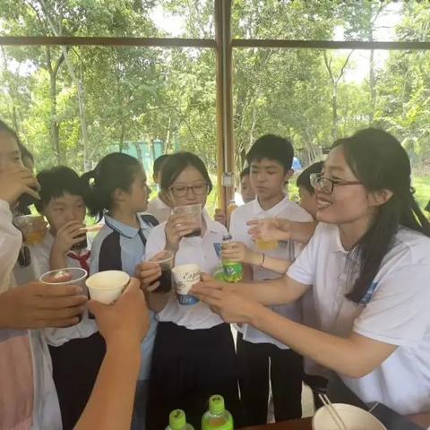 武汉新村小学好不好？