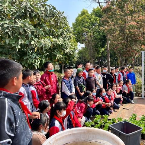 昆明市师大附小简介的长尾关键词有什么