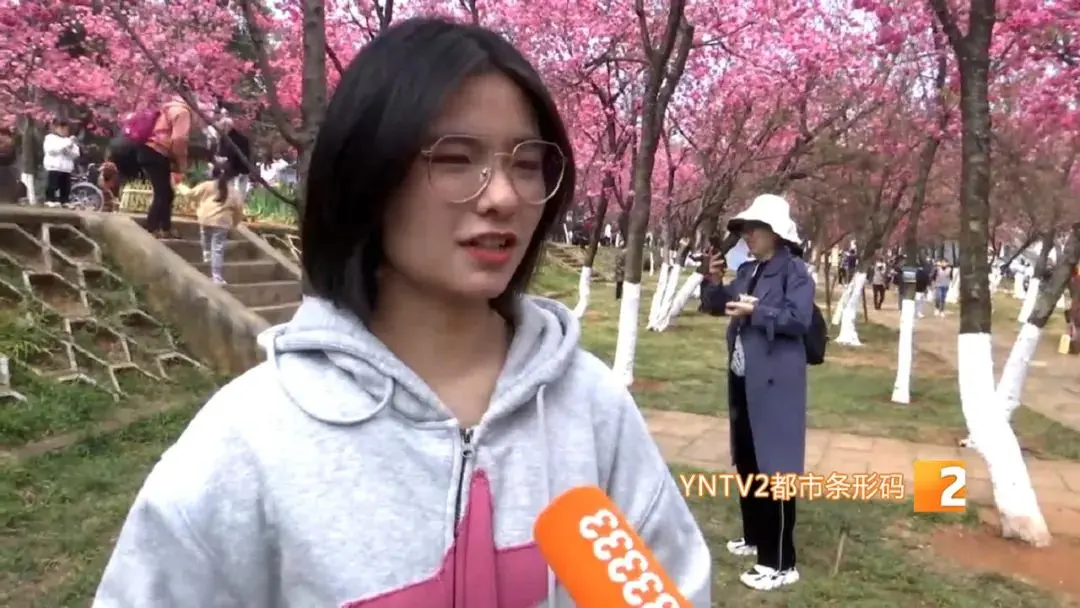 江苏副业平台怎么运营 呼伦贝尔副业平台怎么运营