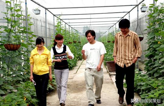 青年失业率再创历史记录，“上山下乡”或将重启，谁会下沉乡村？