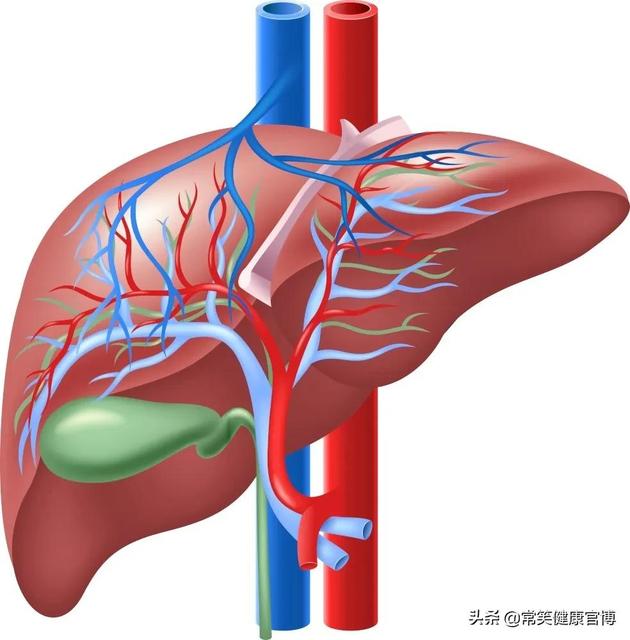 孕期一定要做肝炎检查吗