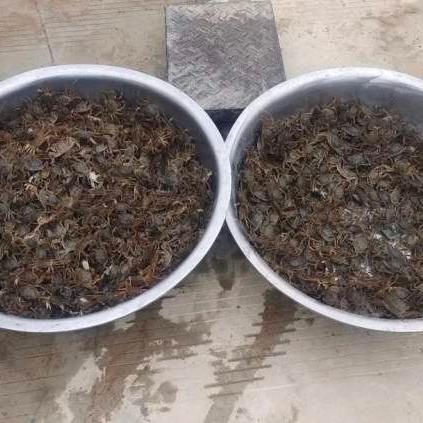 临沧临翔区特产有些什么
