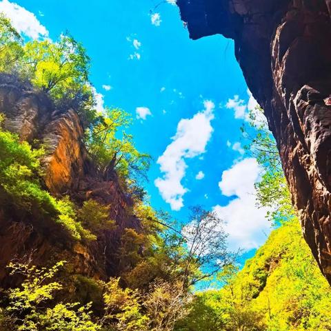 石家庄市平山美食有哪些的长尾关键词有什么