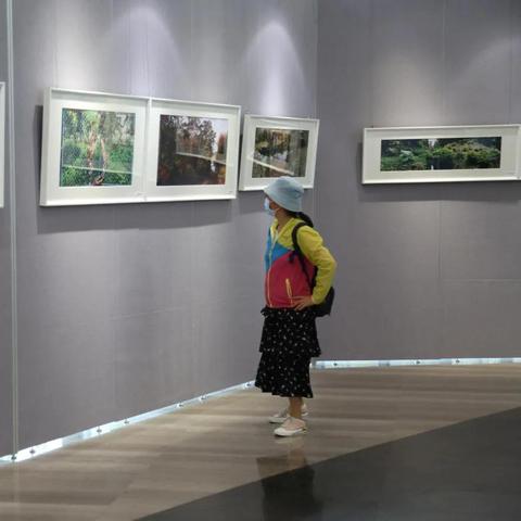 广西南宁市博物馆怎么去