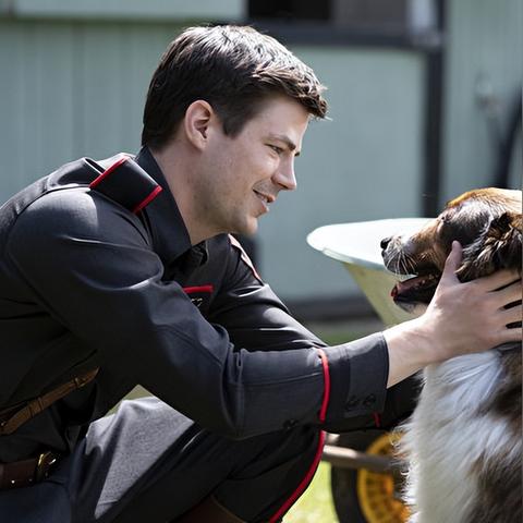 关于蛇的电影有哪些