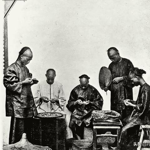 保定市怎么领养狗的长尾关键词有什么