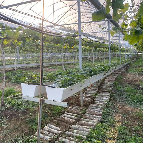 桂林市哪里烧烤好吃点的