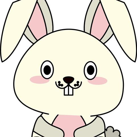 生肖兔的人今日运势运程(生肖属兔今日运势查询下)