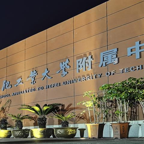 合肥高中排名前十名？