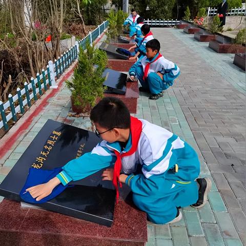 宁波市金星小学怎么样