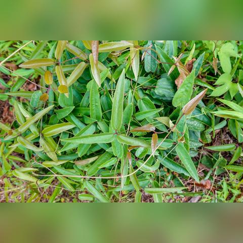 河南什么品牌除湿机好