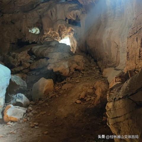 桂林市哪里卖猫比较多啊