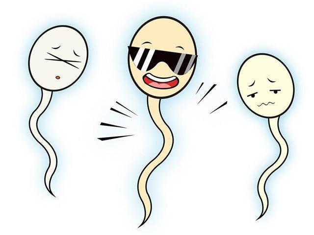 六种食物会影响卵子质量 六种食物会影响卵子质量