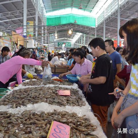 南宁呵贝的相关长尾关键词有哪些