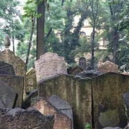 哈尔滨救助管理站相关长尾关键词有哪些