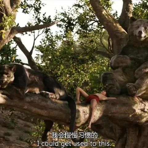 电影 奇幻森林的长尾关键词有哪些