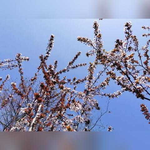 深圳市富泰和怎么样