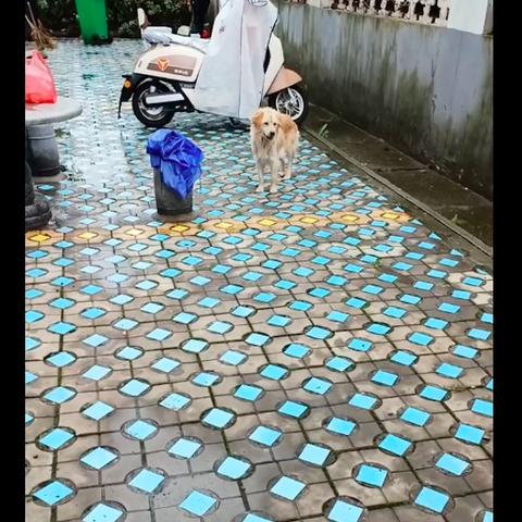 合肥市什么时候不下雨了