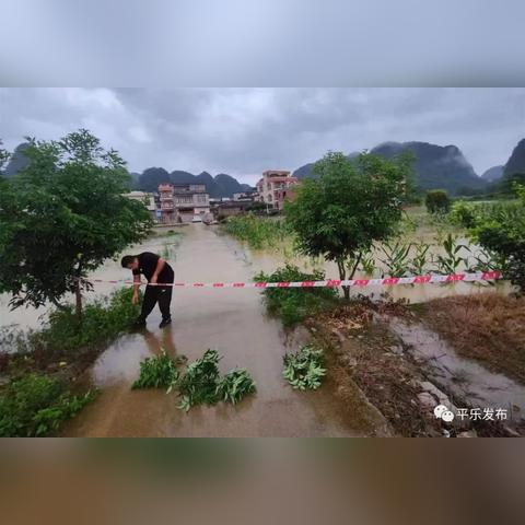 桂林市有哪些旧乡镇村