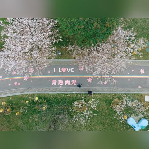 苏州市常熟市批发风筝的长尾关键词有什么