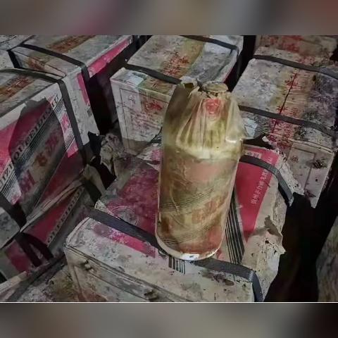河南土壤改良哪个好