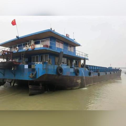 武汉市有什么花