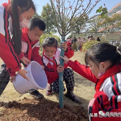 武汉市蔡甸区什么小学好