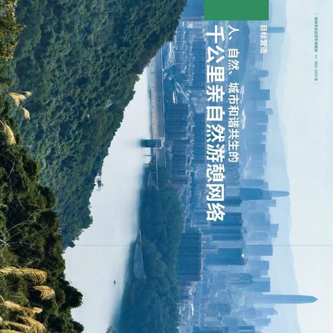 【深圳今日新闻】2025年6月1日深圳有哪些值得关注的新闻
