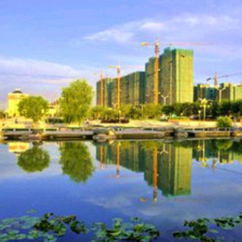 哈尔滨市人均收入是多少