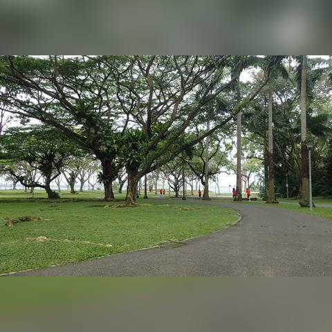 海峡电影的长尾关键词有哪些