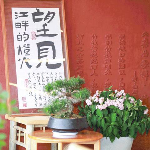 武汉市黄鹤楼在哪个区