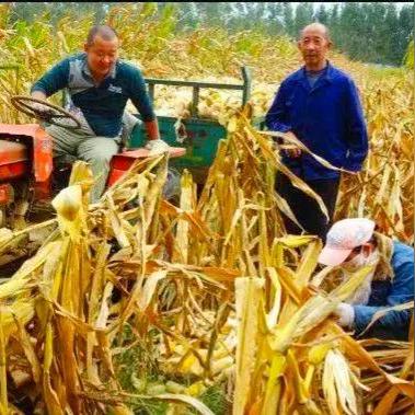 黑龙江与天津哪个冷一点