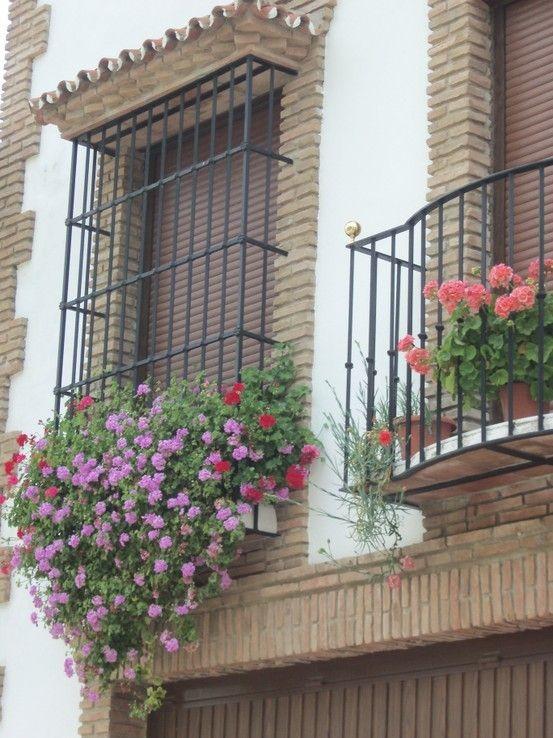 原神杆怎么爬（庭院葡萄独龙杆最快爬藤方法）