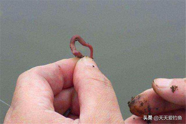 冬天宝宝手指长倒刺怎么办